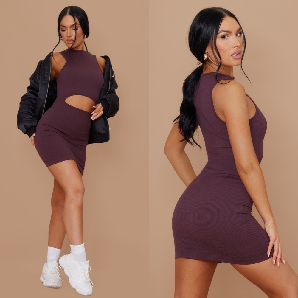 NWOT Aubergine Structured Contour Rib Cut Out Detail Bodycon Dress
